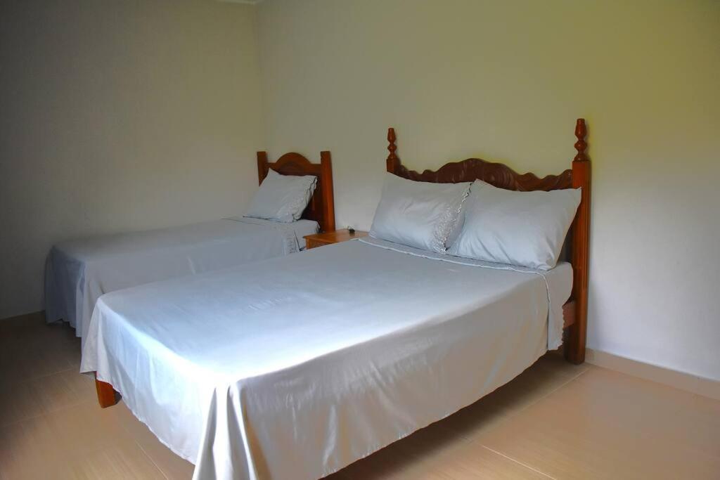 Casa Espetacular No Centro Da Serra Нова-Фрибургу Экстерьер фото